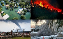 Liên Hiệp Quốc: Thế giới đang bên bờ vực thảm họa về khí hậu