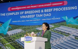 Vilico - công ty con Vinamilk và dấu ấn chuyển mình với dự án bò thịt nghìn tỉ