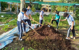 Ươm mầm rau xanh trong trường học tại Đồng Tháp