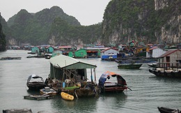 Phê bình chủ tịch huyện Cát Hải vì báo cáo không đúng thực tế