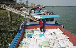 Trung Quốc, Indonesia tăng mua, giá gạo Việt kéo dài đà tăng
