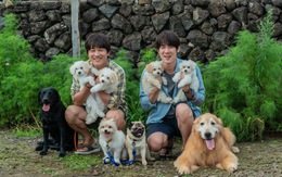 Yoo Yeon Seok, Cha Tae Hyun tuyển 'sen' cho 'boss' cực hài trong 'My puppy'