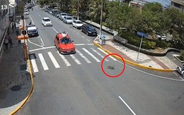 Chàng trai lộn lên nóc ô tô khi tài xế nhường đường cho chú chó