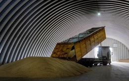 Ba Lan bất ngờ cấm nhập ngũ cốc Ukraine