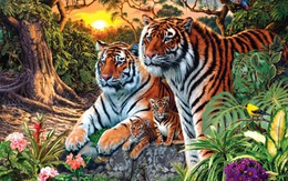Chỉ thiên tài mới thấy 16 con hổ ở trong tranh?