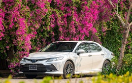 Toyota nỗ lực giảm phát thải carbon bằng phương thức tiếp cận đa chiều
