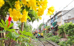 Quận Phú Nhuận hoàn thành đường hoa dọc tuyến đường sắt