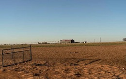Texas cấm công dân các 'quốc gia thù địch' mua đất nông nghiệp