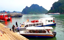 Hàng loạt chủ tàu khách ở Vân Đồn xin tạm dừng hoạt động