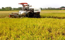 Bộ trưởng Lê Minh Hoan: ‘Hợp tác xã không chỉ là phân chia lợi ích'