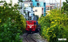Mơ 3.100km đường tàu thành  đường hoa dài nhất Việt Nam