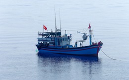 Bộ Nông nghiệp: Trung Quốc đơn phương cấm đánh cá trên Biển Đông là 'vô giá trị'