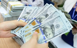 Moody's: Dự trữ ngoại hối Việt Nam sẽ tăng lên 95 tỉ USD