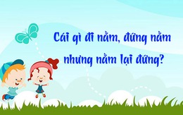 Đố vui: Cái gì đi thì nằm nhưng nằm lại đứng?