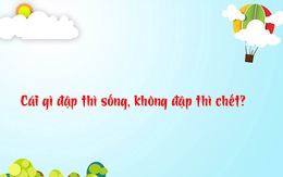 Đố vui: Cái gì đập thì sống, không đập thì chết