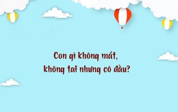 Đố vui: Con gì không mắt, không tai nhưng có đầu?