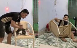 Chàng trai nhận 'quả báo' vì cướp ghế của mèo cưng