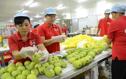 Canada, Úc hiến kế cho nông sản Việt