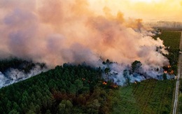 Nguy cơ cháy rừng rất cao, Thủ tướng yêu cầu đảm bảo an toàn tuyệt đối hệ thống điện quốc gia