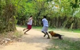 Hai thanh niên nhảy qua hàng rào thoát thân khi gặp chó dữ
