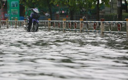 Sơn Tinh - Thủy Tinh mùa N