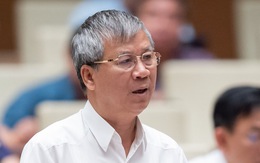 Đại biểu Quốc hội: 'Cú lừa ngoạn mục sắc như dao cắt của Việt Á'