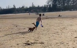 Chú chó nổi quạu rượt chàng trai chạy trối chết khi chơi 'bóng ma'