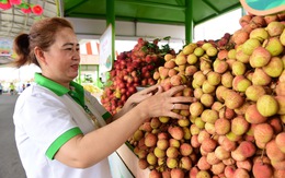 Trăm thức quả tại lễ hội trái cây Suối Tiên, miễn phí cho thiếu nhi ngày 1-6