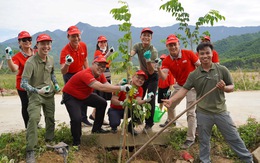 Dai-ichi phát động dự án 'Trồng cây xanh đô thị' tại Đà Nẵng