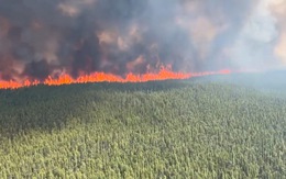 Cháy rừng mạnh có phải chỉ do biến đổi khí hậu?