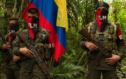 Colombia ngừng bắn với nhóm nổi dậy để giải cứu 4 đứa trẻ trong rừng Amazon
