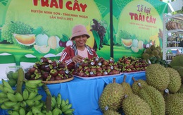 Lễ hội trái cây Ninh Sơn: người dân háo hức, mong chờ