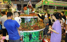 Du khách thích thú ăn chôm chôm miễn phí tại Lễ hội trái cây Long Khánh