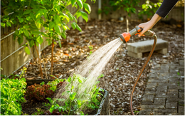 Anh: Cấm dùng vòi tưới và phun nước sân vườn để tiết kiệm nước sinh hoạt