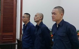 Ngụy trang ma túy trong ruột heo, 3 người Đài Loan lãnh án tử