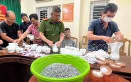 17.000 viên ma túy tổng hợp được máy bay vận chuyển về Hà Nội, chuyển phát vào Đồng Nai
