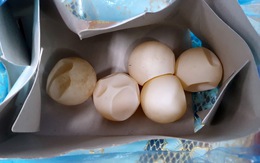 4 vật hình tròn nữ du khách mang từ Côn Đảo là trứng vích