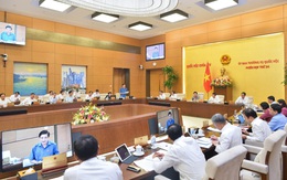 Tình trạng 'đại cử tri, cử tri chuyên nghiệp, đại biểu cử tri’ còn phổ biến