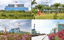 Nhiệt điện Vĩnh Tân: 10 năm không ngừng 'xanh hóa môi trường'