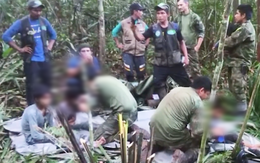 Bốn đứa trẻ lạc trong rừng Amazon đã xuất viện sau 34 ngày điều trị