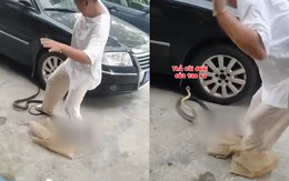 Video hài nhất tuần qua: Con rắn hoảng sợ khi cô gái la hét