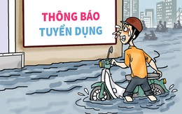 Tuyển dụng mùa mưa: Ưu tiên ứng viên giàu kinh nghiệm sông nước