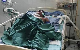 Người đàn ông ở Quảng Nam bị ong vò vẽ đốt đã tử vong