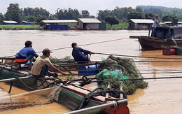 Nước sông Đồng Nai và sông La Ngà dâng cao gây thiệt hại lớn, tiếp tục cảnh báo ngập lụt