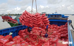 Xuất khẩu gạo sang nhiều nước tăng đột biến
