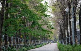 Biến trung tâm Hà Nội thành 'thành phố có rừng', được không?