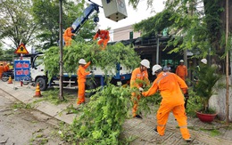 Tổng công ty Điện lực miền Nam: nhiều phương án đảm bảo cung cấp điện mùa mưa bão