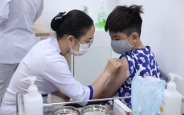 Tọa đàm 'Tiêm vắc xin phòng các bệnh truyền nhiễm mùa hè'