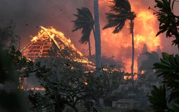 Cháy rừng hủy hoại thiên đường nghỉ dưỡng ở Hawaii như thế nào?