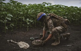 Học sinh giữa chiến sự: Nga học vận hành drone, Ukraine học tránh bãi mìn
